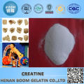 Factory promote creatine monohydrate powder supplement